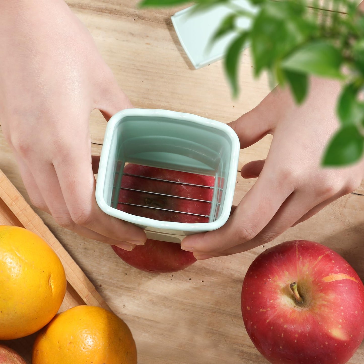 Cup'N'Slice Kitchen Zeal
